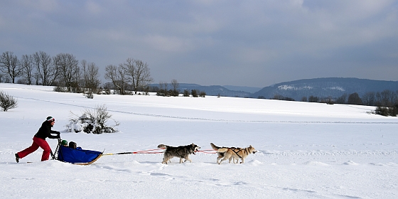 Wintersporttag