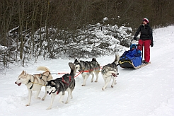 Wintersporttag