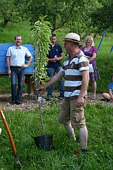 Ein Kirschbaum wird feierlich gepflanzt