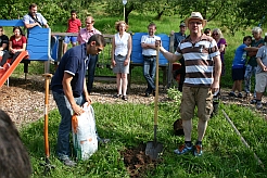 Ein Kirschbaum wird feierlich gepflanzt