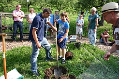 Ein Kirschbaum wird feierlich gepflanzt