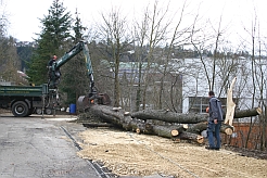 Baustelle Klosterbergschule