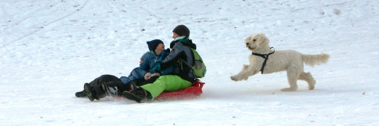 Wintersporttag der Klosterbergschule