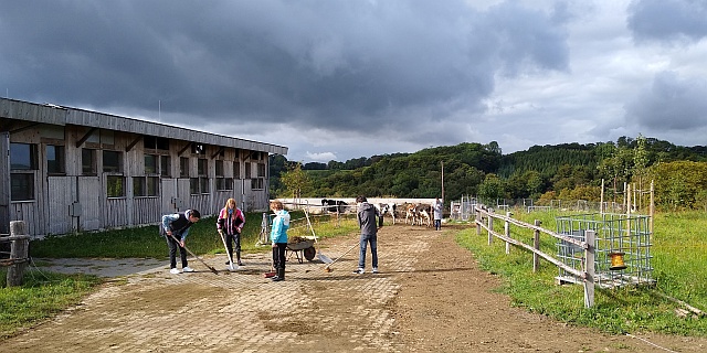 Arbeitsgruppe Stollenhof