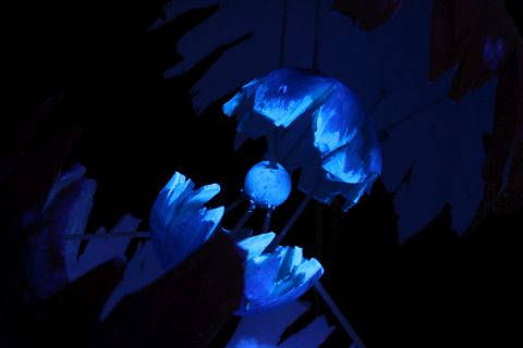 Lichterfest 2019 Lichterfest 2019